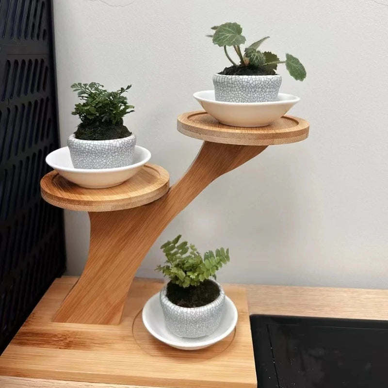 Bamboo shelf for home/office