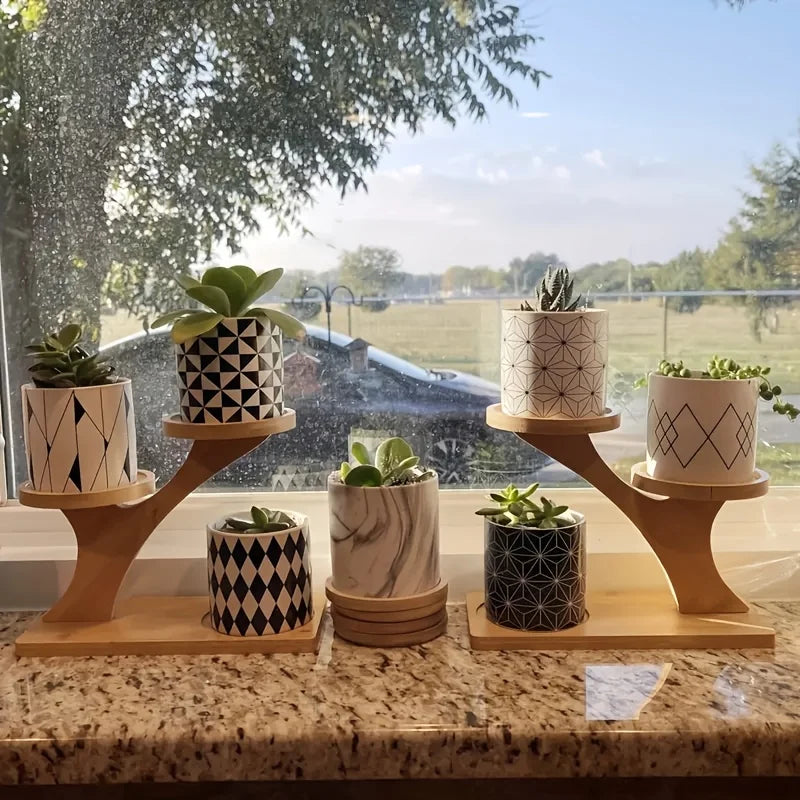 Bamboo shelf for home/office